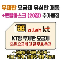 은우텔레콤 KT무제한요금제 선불유심개통, 1개, 프리티선불30