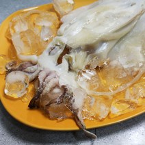 아이홈푸드 [바다의행복] 국내산 반건조 갑오징어 (대) 1팩, 단일옵션