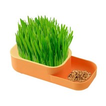 고양이용 쉬운 잔디 재배기 유기농 새지 방지 화분 상자, 03 Orange