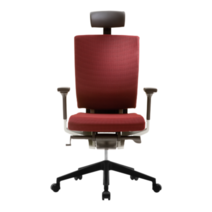 시디즈 T55 더블라셀 사무용의자 T550HLDA DR