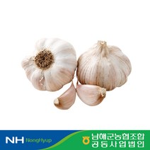 [남해조공] 보물섬이 키운 햇 통마늘 2kg 상, 1개