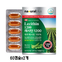 대두 레시틴 캡슐 식물성 인지질 포스파티딜 콜린 혈중 콜레스테롤 영양제, 2개, 60캡슐