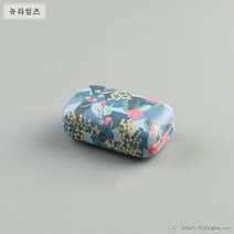 뉴타임즈 접이식 안경 케이스 휴대용 수납함 A28, 블루 케이스