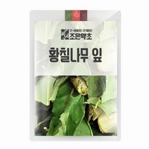 조은약초 황칠나무 잎 200g, 1개
