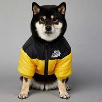 경량 강아지 명품 올인원 발열 패딩 SUPREPET 패드 겨울 옷 따뜻한 바람막이 솔리드 코트 코튼 디자이너 대형견 액세서리, L, YELLOW