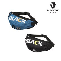 블랙야크키즈 공용 벨루 힙색_2BKABX9908, BLUE_BL