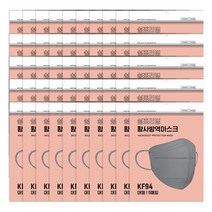 KF94 쉼표리빙 미세먼지 마스크 대형 10팩 5매입 x10 그레이