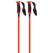 아토믹 스키폴대 Atomic Poland Redster Carbon SQS, 110 cm Red / Carbon