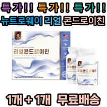 [특가] 뉴트로웨이 리얼 콘드로이친 60정 2병 세트 상어연골분말 어골칼슘 보스웰리아 해조칼슘 우슬 버드나무껍질 초록입홍합 치커리 곤드로이친 곤도로 콘도로이친 큰드로이친, 1개, 120정