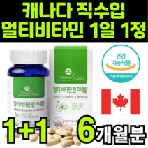 20대 30대 40대 50대 60대 70대 여성 여자 남성 남자 수입 좋은 해외 복합 고함량 네츄럴 내츄럴 네추럴 내추럴 메이드 종합 비타민 multi vitamin 영양제 추천, 2박스(6개월분)