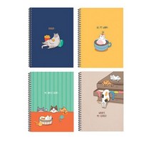 비팬시 3000 무지 연습장, 0 4종 Random(랜덤), 5세트