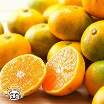 서귀포 하례마을 하우스감귤 5kg (대과 실중량), 단품