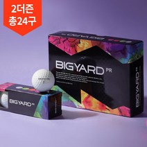 2더즌 총24구 넥센 빅야드 PR 2피스 골프공, 빅야드 PR 컬러 2박스_소형 쇼핑백