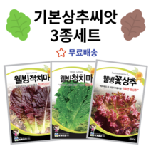 주주씨앗 기본 상추 씨앗 3종세트 웰빙 적치마 청치마 꽃상추 종자 상추씨 쌈채소