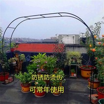 대문아치 가든 아치 게이트 대문 포도나무 터널 펜스, 중간, 블랙 3.15mx2.2m(폭x높이)