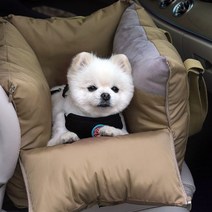 패리스독 쁘띠 올데이 카시트, 블랙