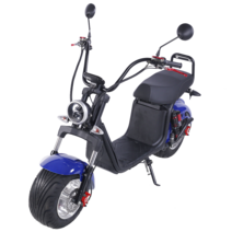 할리 전동스쿠터 오토바이 X20 전기, X8 모델 80km 60V