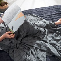 인견필 홑이불 차콜 더블 퀸 시원한 린넨홑이불 냉장고, 단품, 단품