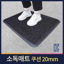 월드그린 KC인증 소독용발판 신발소독기 현관 소독매트 방역매트, 레드, 1개