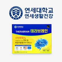 연세대 테라 브레인 기억력 두뇌 건강 기능식품, 1개, 120g, 120g