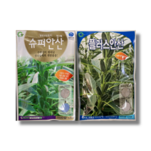 [삼대씨앗] 23년 참깨 코팅씨앗 3000립 참기름용 참깨종자/ 플러스안산 3000립 / 슈퍼안산참깨 3000립