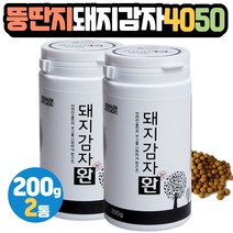 국내산 돼지감자환 40대 50대 중년남성 여성 간식 친구 이사 집들이 방문 감사 기념일 선물 20대 30대 직장인 연구원 사무직 사회초년생 대리 인턴 선생 교수 인사 뚱딴지