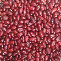 강낭콩 1kg 강남콩 국내산콩 홍대 붉은강낭콩 잡곡 국내산