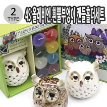4S 부엉이캔들홀더 선물세트 화이트 브라운 택1, 색상선택_화이트 012373