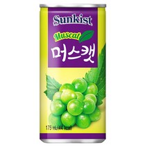 썬키스트 머스켓 175ml (옵션), 90개