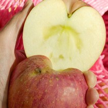 흠집사과 정말 달콤하고 아삭한 못난이 사과 4.5kg 9.5kg 안동 부사, 흠집 미얀마부사 9.5kg 대과