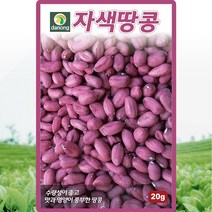 자색땅콩씨 20g 수량성이 좋고 맛과 영양이 풍부한 땅콩씨앗 채소종자
