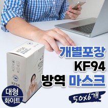 소기업 소상공인 방역물품 마스크 여행 숙박업 지원비 노멀타입 화이트 L 대형 KF-94 항균 스포츠 패션 연예인 신혜선 황사마스크 세트 방역물품키트 지원 기관 업체 예방