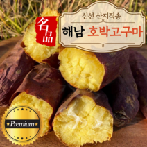 진품인증 해남 꿀 고구마 호박 햇 밤 한입 큐어링 베니하루카 3kg 5kg 10kg 못난이 중 대 특상