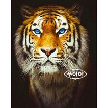 푸아이 보석십자수 캔버스형 or 패브릭형 푸른 눈 호랑이 3D 40x50 DIY 큐빅