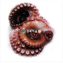 문어(활문어)1kg 생문어 돌문어 자숙문어, 문어(활문어) 400-500g-1마리