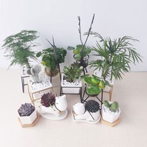 작은마음 담은 미니 육각 다육이 도자기 화분 5개, 사각철재받침화분1개