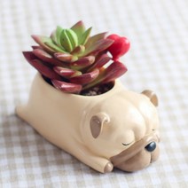 ROOGO 루고 화분 잠자는 강아지 퍼그