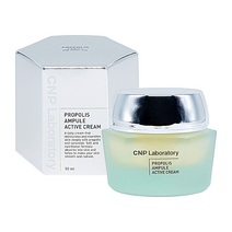 CNP 차앤박 프로폴리스 앰플 액티브 크림 50ml 고보습 영양크림, 1개