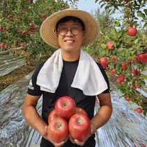 경북 안동 2022년 햇부사 사과 정품 3kg/5kg/10kg[학가산 사과꽃필무렵], 06. 햇부사 중과 10kg 29-36과내외, 1개