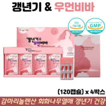감마리놀렌산 영양제 회화나무열매 추출물 여성 갱년기 건망증 불면증 개선 갱년기우먼비바, 4박스, 120캡슐