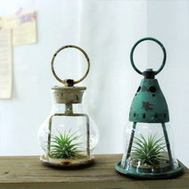 [바보사랑] 행잉 틸란 캔들라이트, 칼라:러프블루