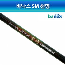 바낙스 SM 천명, 2.0