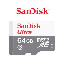 샌디스크 세종 SJ-W20IW 홈캠 CCTV 웹캠 MicroSD 메모리카드 64G 울트라 어댑터증정, 64GB