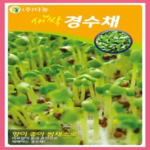 다농원예가든 새싹경수채 30g