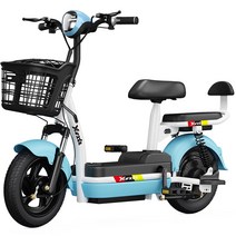 배달용전기자전거 하이브리드 출퇴근 장거리 고성능, 상세 페이지 참고, Technology Blue 원래 12A