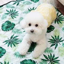 NEW트로피컬 쿨매트 + 베개 세트 (중형/특대형)