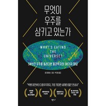 무엇이 우주를 삼키고 있는가:50년간 우주를 올려다본 물리학자의 30가지 대답, 폴 데이비스, 반니