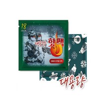 애니데이 군용핫팩 150g 등산용핫팩, 50개