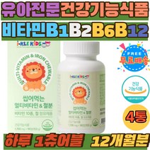 성장기 어린이 아기 멀티 종합 비타민 영양제 구미 어린이 아이 유아 비타민 10종 A C D E B군 엽산 철 키즈 초등학생 츄어블 맛있는 멀티 비타민 영양제 조카 손녀 손자 선물