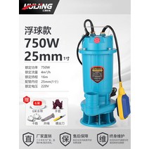 워터펌프 잠수형 수중 모터 양수 관개 전지 워터 펌핑 220V 380V 잠수정, S 750W 플로트 하수 펌프 1 인치 전압 220v